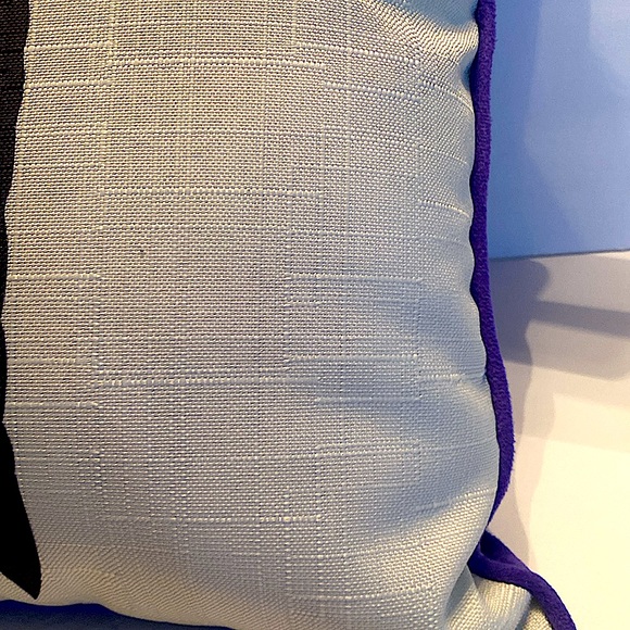 NEW WEDNESDAY MGM TELEVISION NO HUG ZONE SUPER SOFT PILLOW - Picture 7 of 10